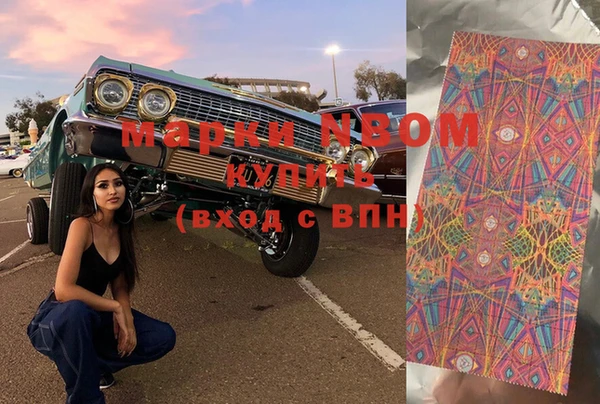 прущие грибы Алзамай