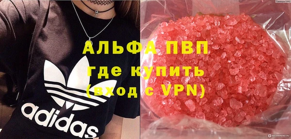 прущие грибы Алзамай