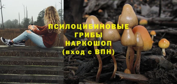 трава Алексин