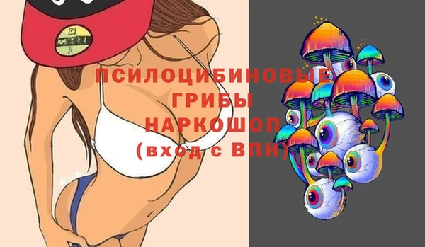 прущие грибы Алзамай